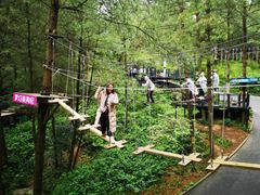 -梦幻奥陶纪景区