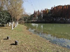 -艾溪湖湿地公园
