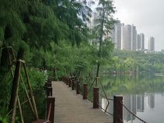 -重庆彩云湖湿地公园