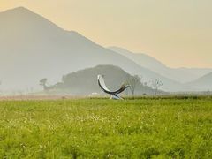 -杭州灵山景区