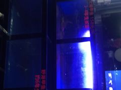 -7890+霸王甲·甲鱼爱尚蛙(坪洲店)