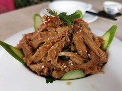 麻辣金钱肚絲-点都德(盘福楼店)