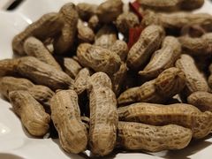 -老号尤兔头(幸福店)