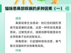 -瑞派申生动物医院·24H夜诊·国际动物医疗中心·骨外科(吴中路店)