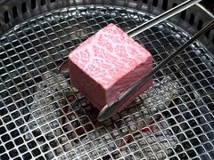 -松鱼亭·和牛烧肉(协鑫广场店)