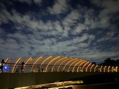 -深圳湾公园(南山区)