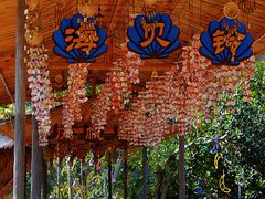 -海南槟榔谷黎苗文化旅游区