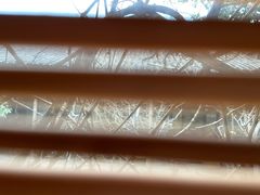 -驿舍·民國老营房院子私房菜(科学会堂店)