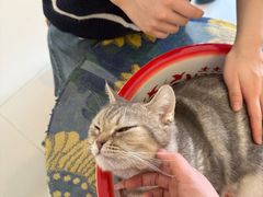 -平行世界·猫咖(首经贸店)
