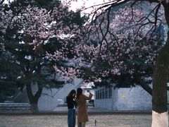 -吉林大学(南岭校区)