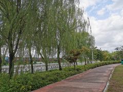 -上海浦江郊野公园-4号停车场