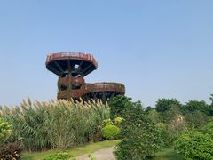 -芒洲湿地公园