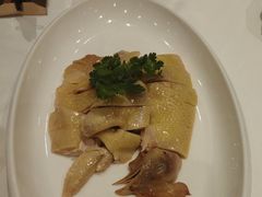 -金河半岛园林酒家(金融城店)