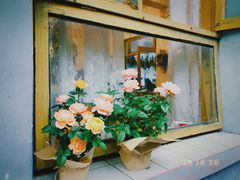 -知物癖(牛王庙店)