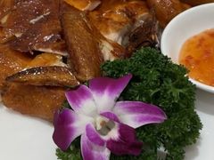 -龙悦湾酒家·八阵鱼生·渔人码头店
