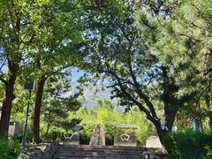 -阳台山自然风景区