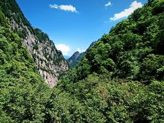 -青峰峡国家森林公园