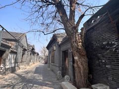 -青州古城