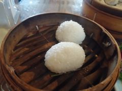 茨毛圆子-双塔老饭店