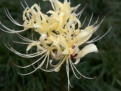 -白塘生态植物园