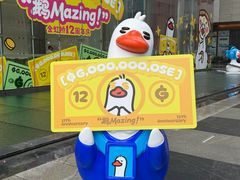 -金虹桥商场