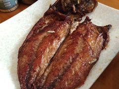 -春明狗肉馆(园丁花园店)