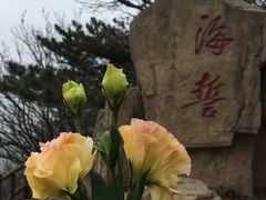 -燕窝岭