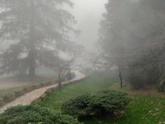 -庐山风景区花径公园