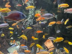 -太平洋海底世界