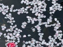 -范蠡湖公园