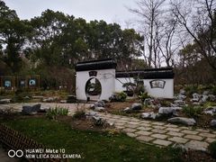 -上海共青森林公园