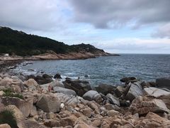 -广东惠东海龟国家级自然保护区