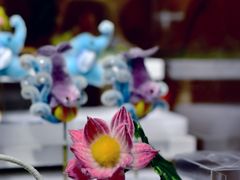 -南京民俗博物馆(甘熙故居)