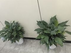 -锦江之星(苏州火车站虎丘店)