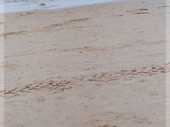 -东戴河风景区-止锚湾