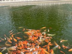 -广东圆玄道观