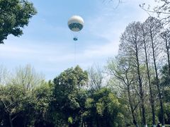 -西溪国家湿地公园