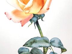 -八哥美术·成人美术画室(总校区)