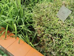 -广州神农草堂中医药博物馆