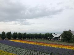 -富田农场