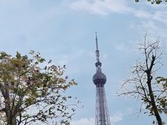 -文华公园(禅城区)