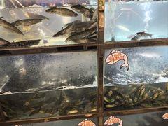 -三道苗苗鱼·美蛙黄辣丁(八里店)