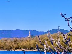 -颐和园