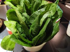 -京悦南门涮羊肉·羊蝎子火锅(田林路店)