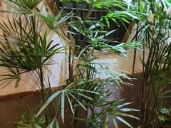 -福满我家大碗厨·湘菜(上海大厦店)