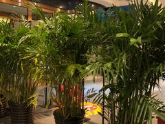 -眉州东坡(通州店)