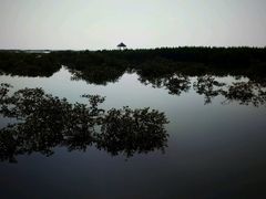 -北海金海湾红树林生态旅游区