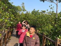 -东寨港红树林旅游区