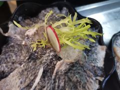 -马家斑.鲜鱼火锅(松湖万科店)