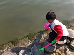 -滨湖塘西河公园